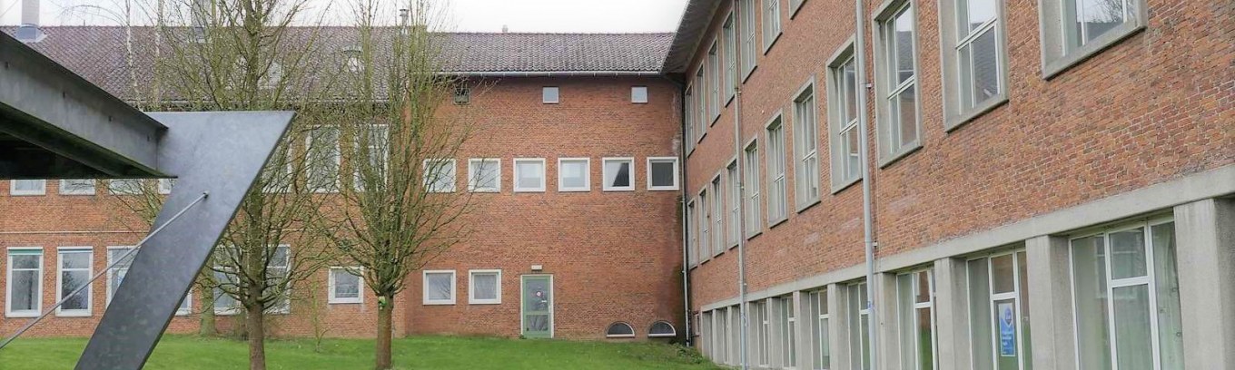 <?php echo pulse_output(); ?>