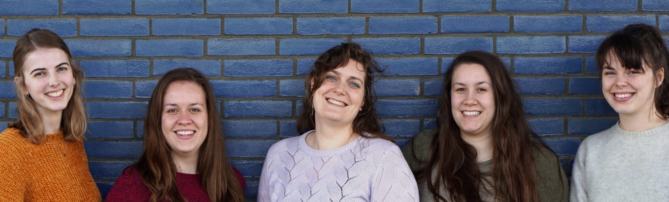 <?php echo pulse_output(); ?>