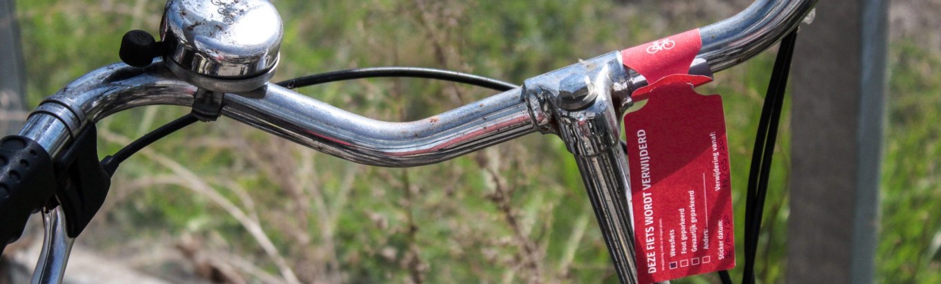 <?php echo pulse_output(); ?>